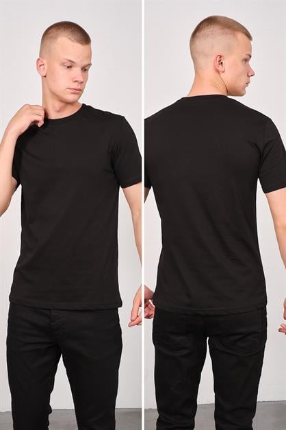 Mens Crew Neck 2-Pack Regular Fit Basic T-Shirt 990