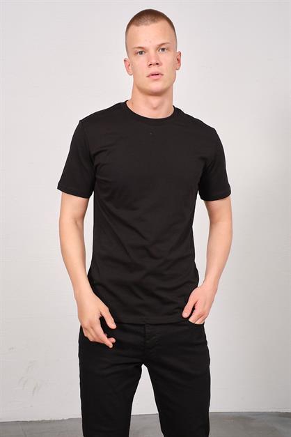 Mens Crew Neck 2-Pack Regular Fit Basic T-Shirt 990