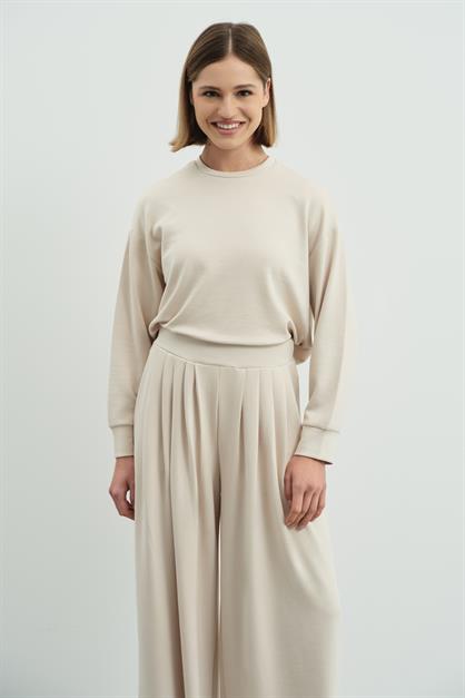 Pure Touch Pleated Wide-Leg Trousers CC7006