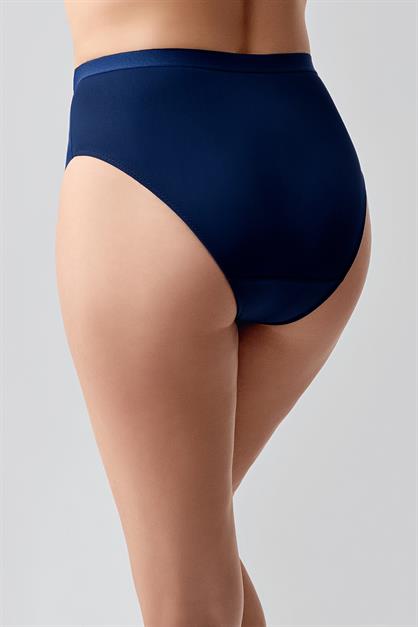 High-Waisted Sheer Mesh Detail Panties - Elegant Lace & Tulle Briefs - Style C19303