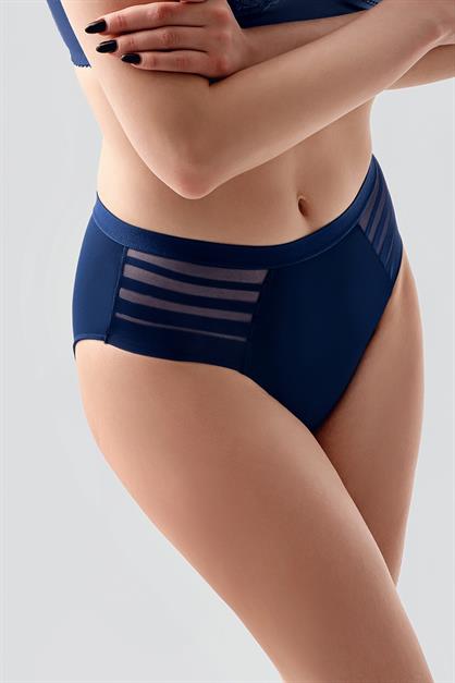 High-Waisted Sheer Mesh Detail Panties - Elegant Lace & Tulle Briefs - Style C19303