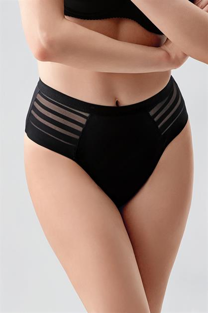 High-Waisted Sheer Mesh Detail Panties - Elegant Lace & Tulle Briefs - Style C19303
