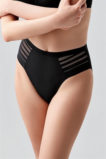 High-Waisted Sheer Mesh Detail Panties - Elegant Lace & Tulle Briefs - Style C19303