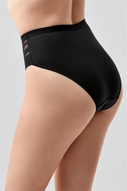 High-Waisted Sheer Mesh Detail Panties - Elegant Lace & Tulle Briefs - Style C19303