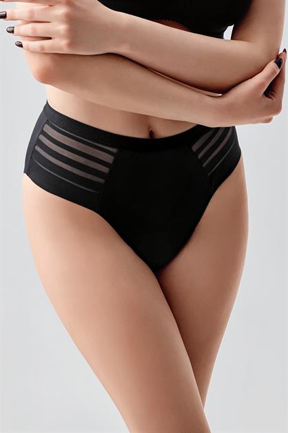 High-Waisted Sheer Mesh Detail Panties - Elegant Lace & Tulle Briefs - Style C19303