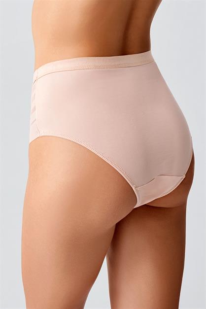 High-Waisted Sheer Mesh Detail Panties - Elegant Lace & Tulle Briefs - Style C19303