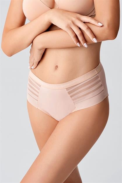 High-Waisted Sheer Mesh Detail Panties - Elegant Lace & Tulle Briefs - Style C19303