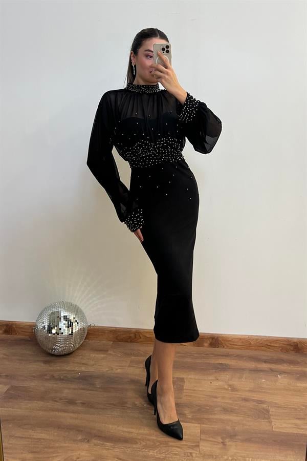 Transparan Detay Kalem Elbise - SİYAH