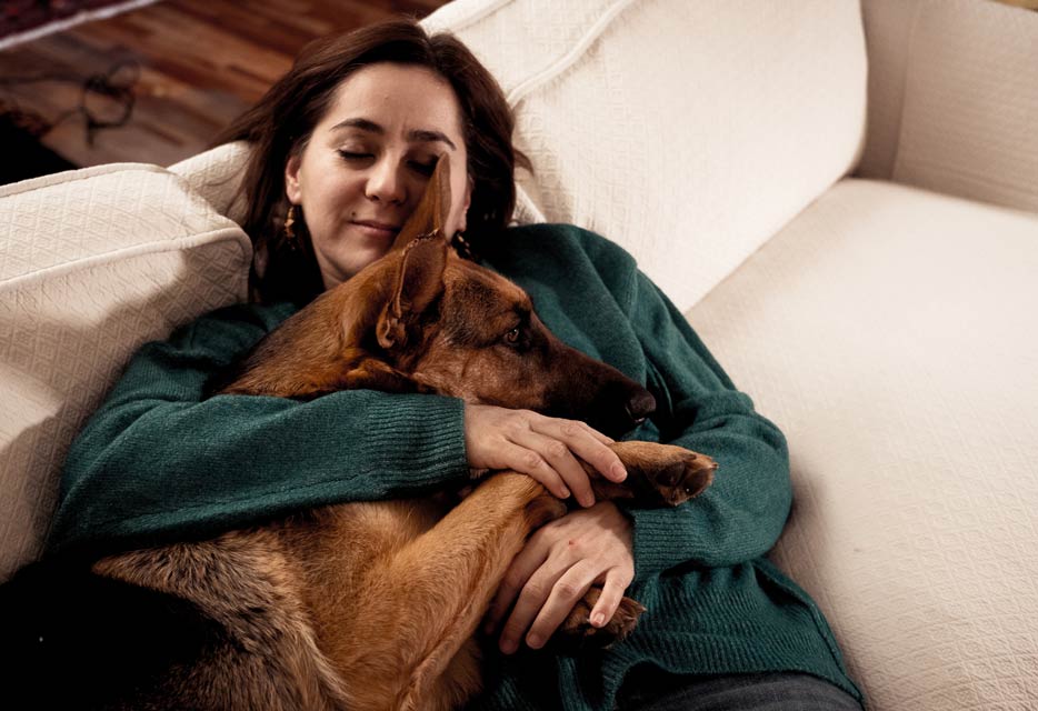 Yetişkin Bir Köpek Sahiplenmeden Önce Düşünülmesi Gereken 6 Konu