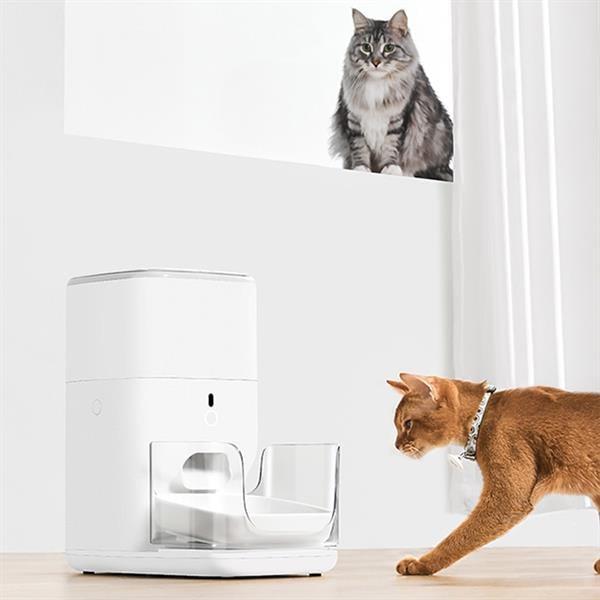 CATLINK Otomatik Mama Kabı 4 Lt PRO