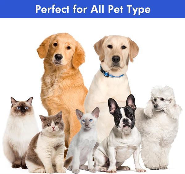 Neakasa Kedi & Köpek Tıraş Makinesi P1 Pro
