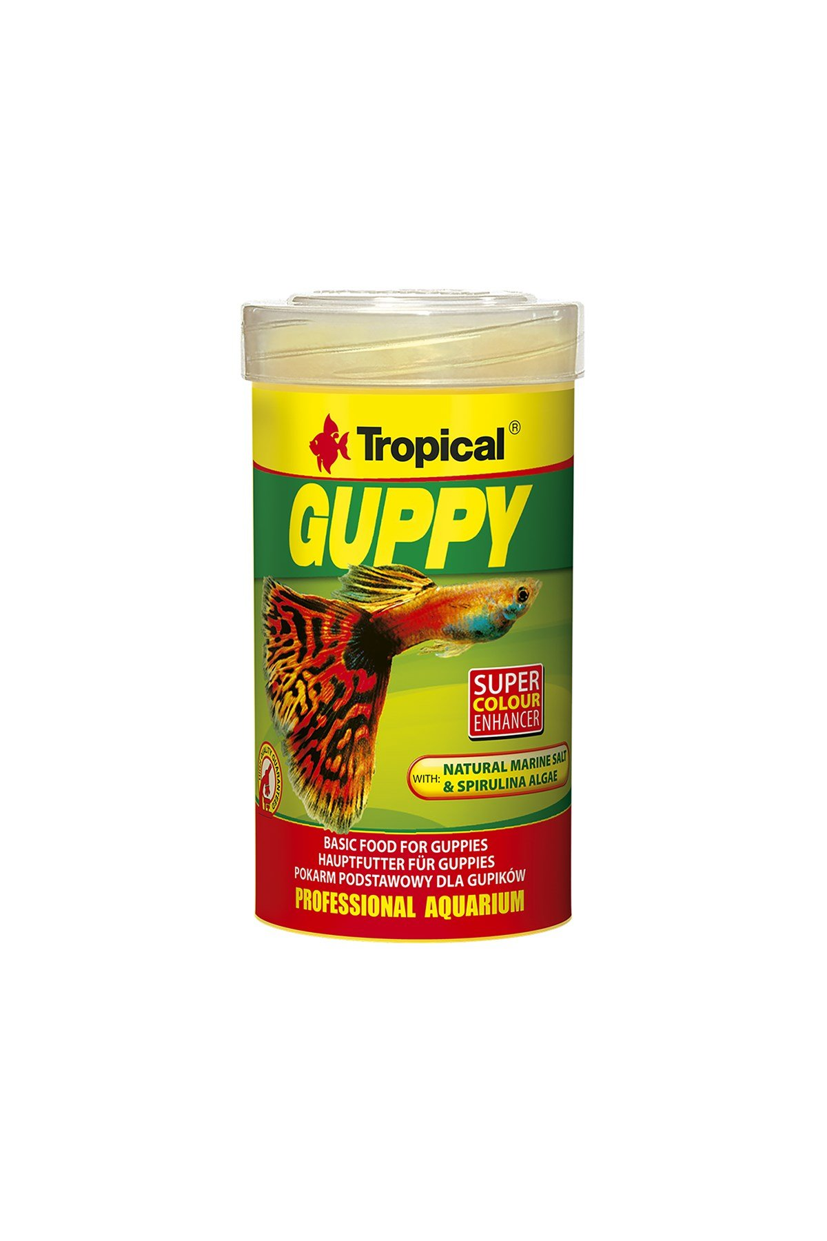 Tropical Guppy Pul Yem