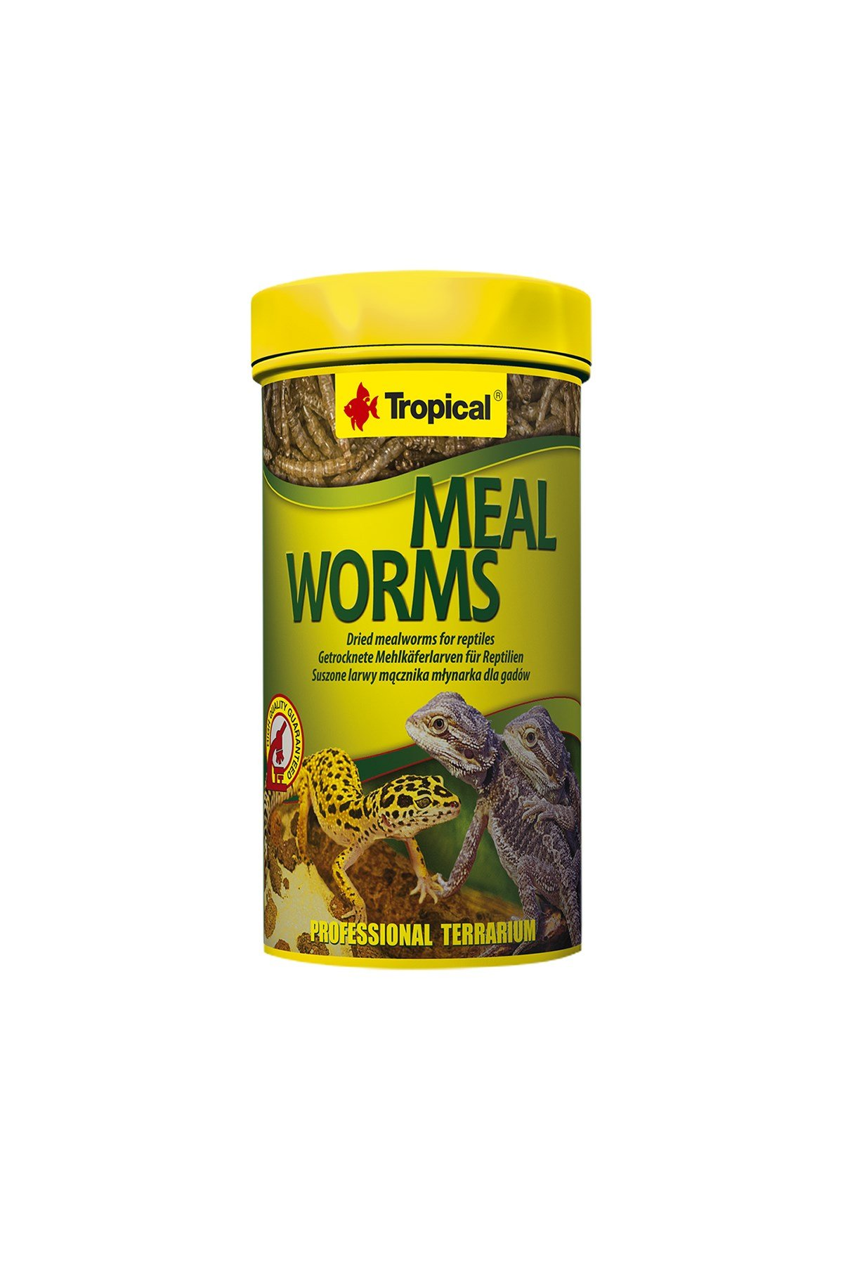 Tropical Meal Worms