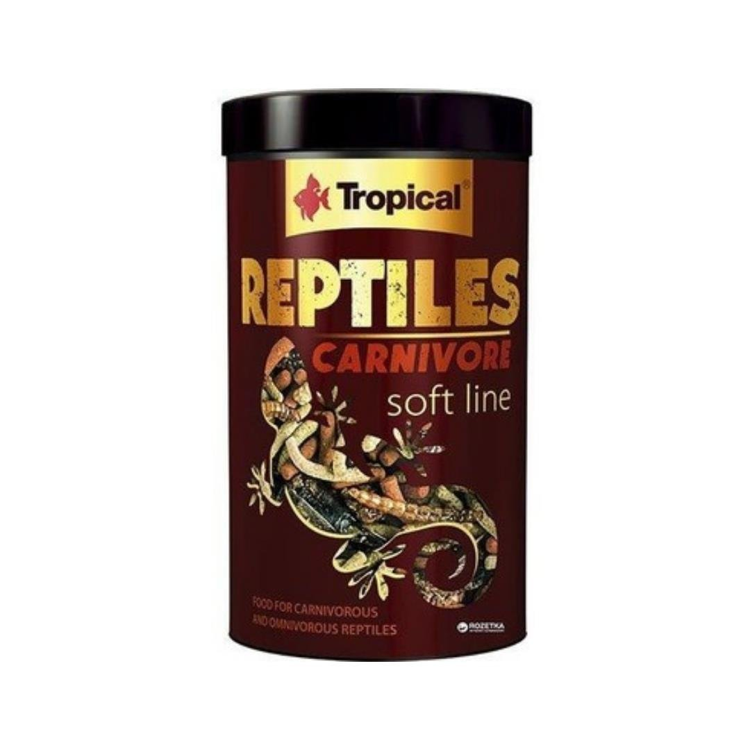 Tropical Reptiles Carnivore Soft