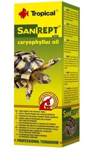 Tropical Sürüngen Bakım