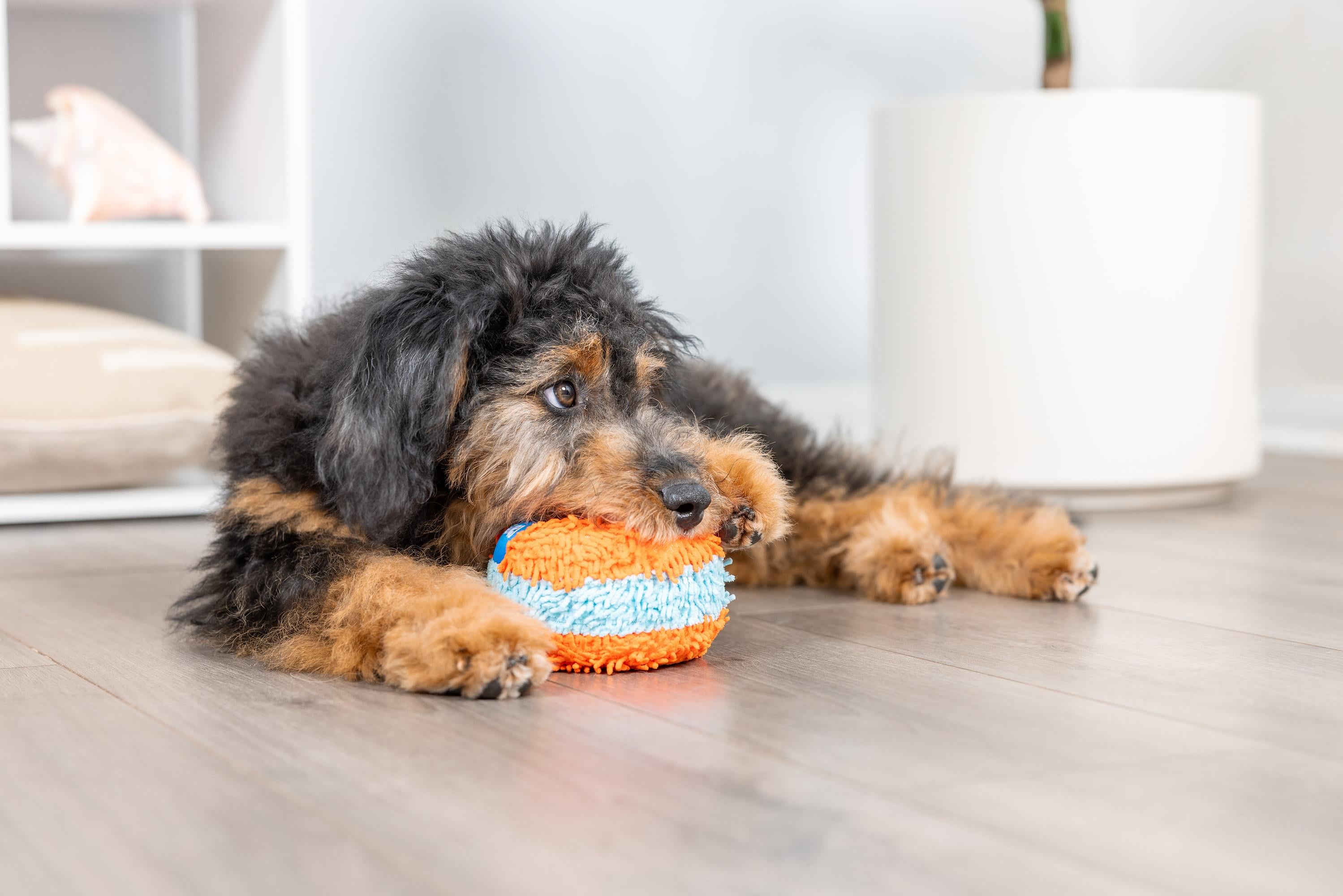 Chuckit! Indoor Roller Eve Özel Yumuşak Köpek Oyuncağı