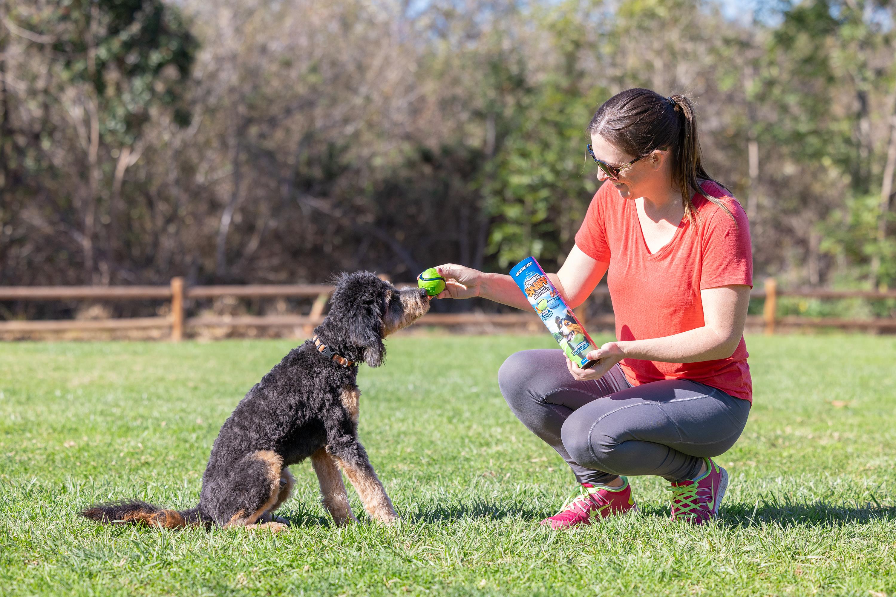 Chuckit! Sniff Fetch Kokulu Köpek Oyun Topu 4lü Kutulu Set (Orta Boy)