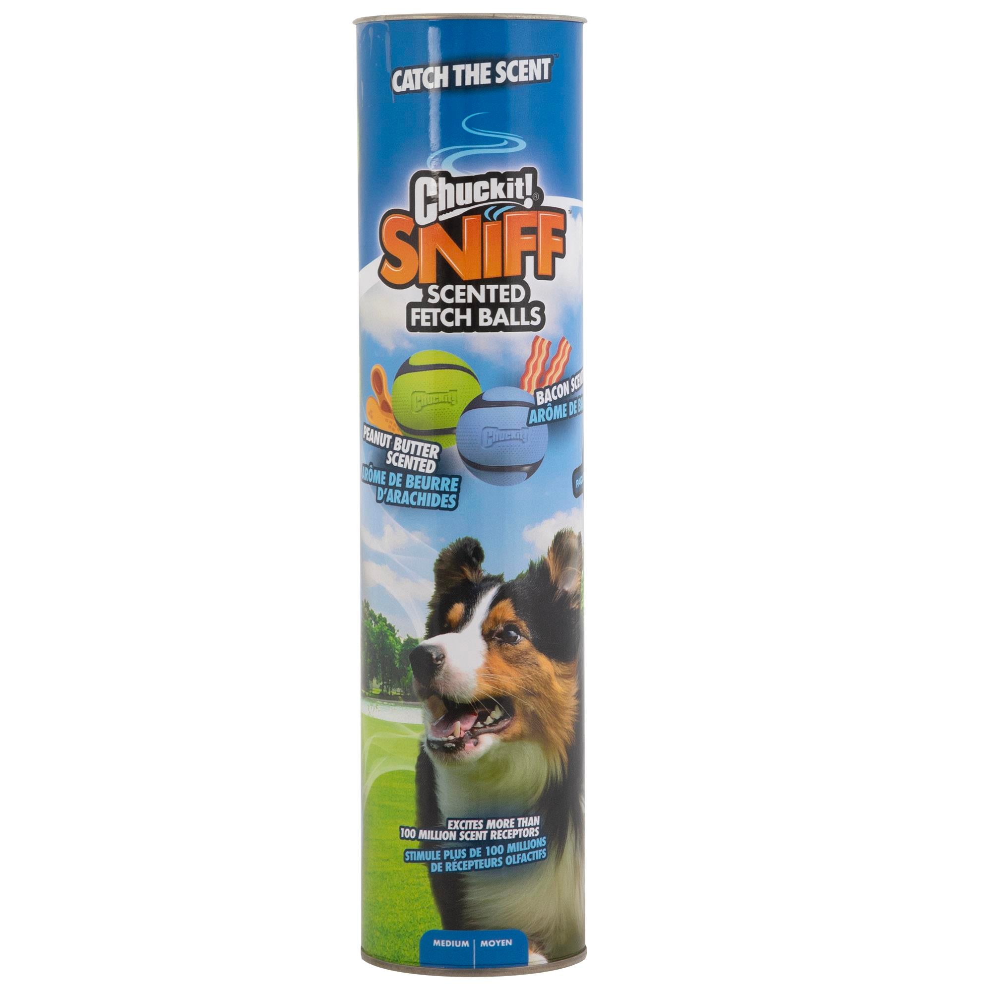 Chuckit! Sniff Fetch Kokulu Köpek Oyun Topu 4lü Kutulu Set (Orta Boy)