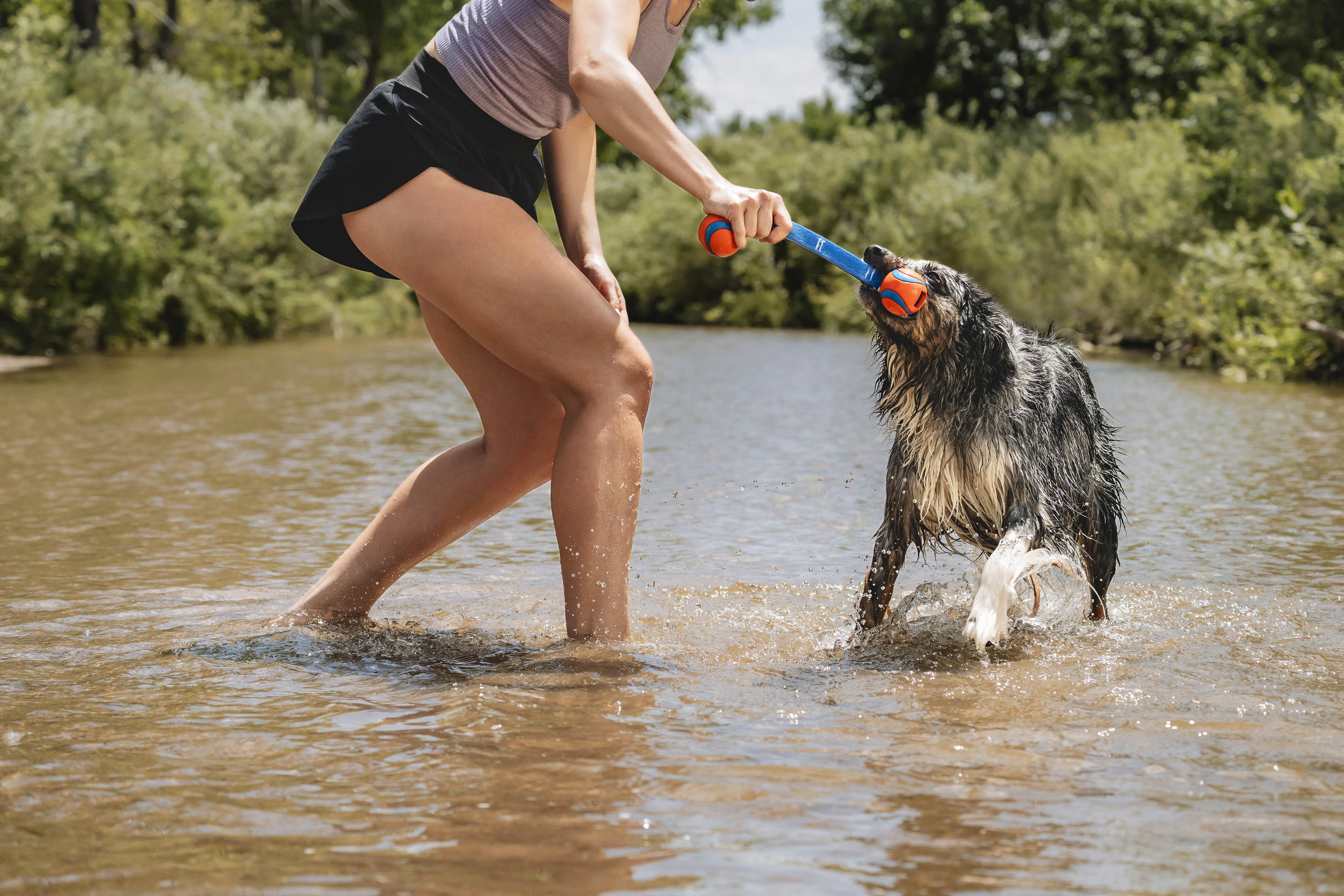Chuckit! Ultra Duo Tug 2li Köpek Çekiştirme Topu (Orta Boy)