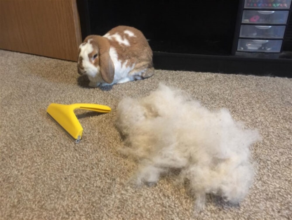 JW Gripsoft Tüy Mıknatısı