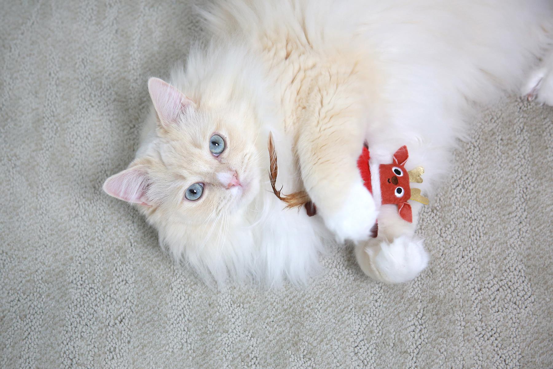 Mad Cat Reindeer Matatabili Kedi Oyuncağı