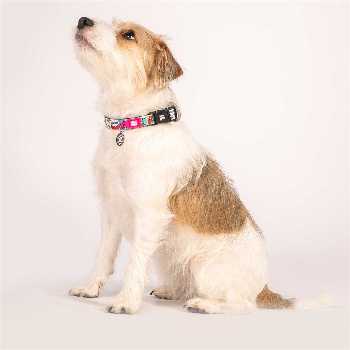 Max & Molly Missy Pop Smart ID Köpek Boyun Tasması