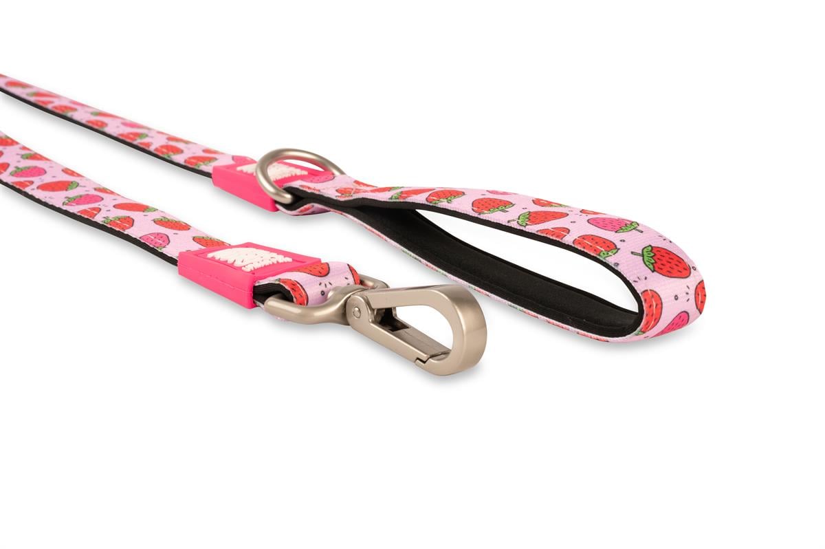 Max & Molly Strawberry Dream Köpek Gezdirme Kayışı