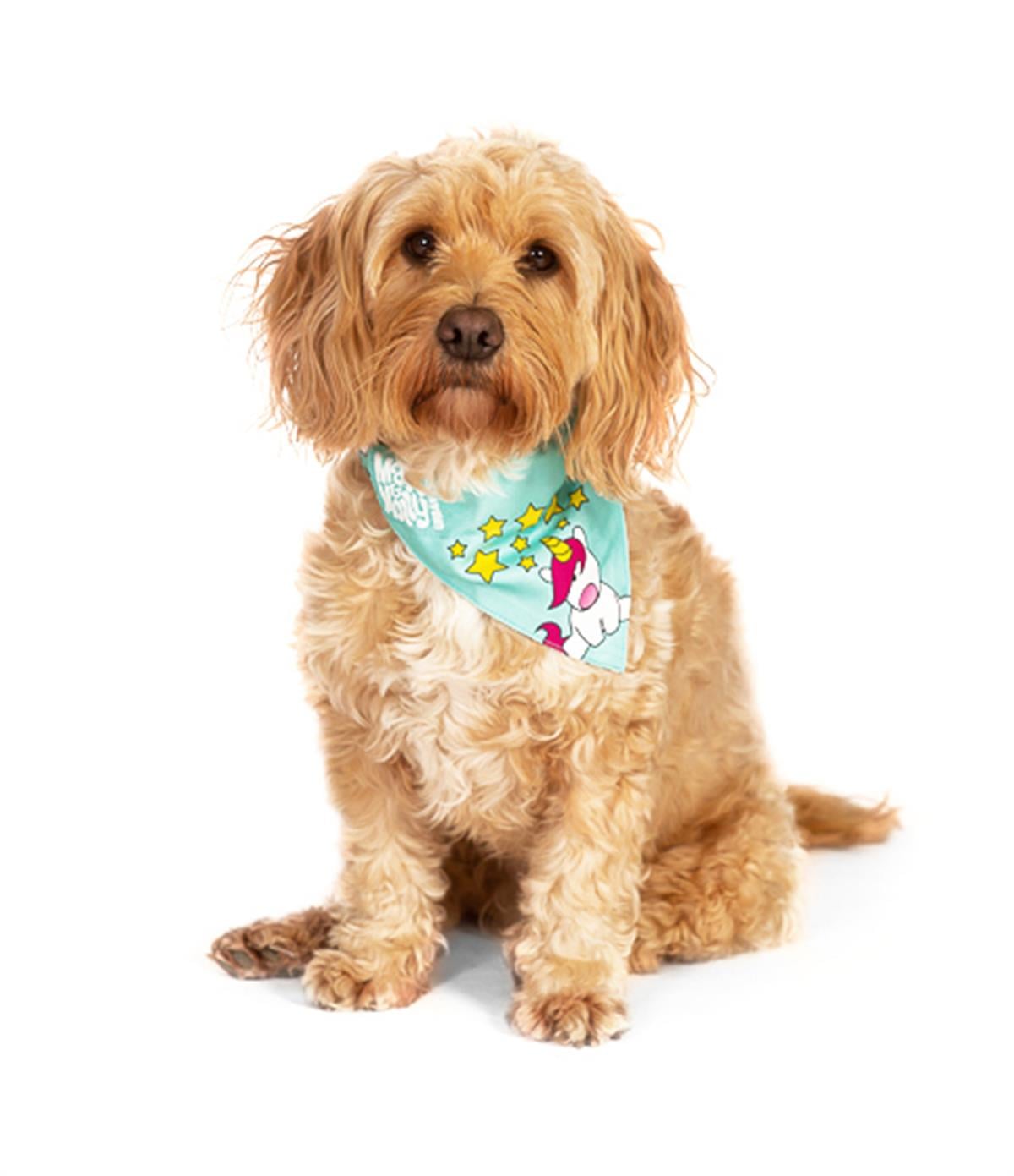 Max & Molly Unicorn Bandana
