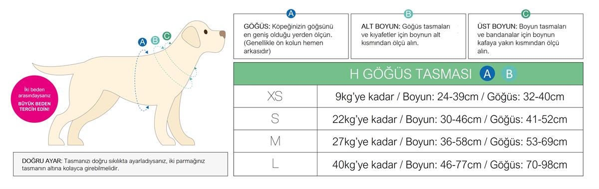 Max & Molly Zebra Köpek Göğüs Tasması