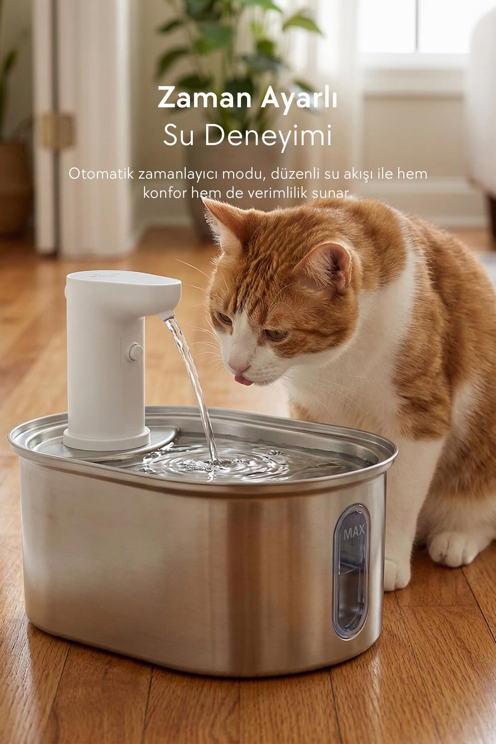 Zampa Oval Paslanmaz Çelik Pet Otomatik Su Pınarı (Bataryalı)