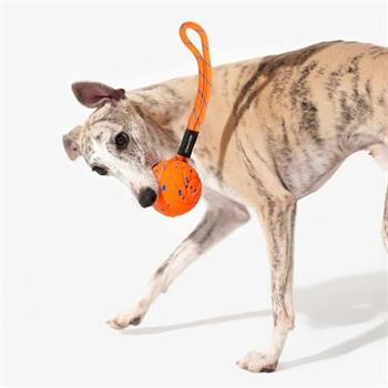 Cheerble Akıllı İnteraktif Köpek Oyuncağı İpli, Turuncu 7 x 7 x 7cm