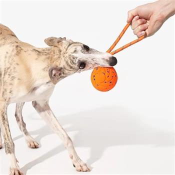 Cheerble Akıllı İnteraktif Köpek Oyuncağı İpli, Turuncu 7 x 7 x 7cm
