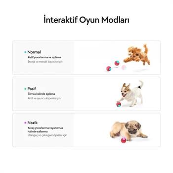 Cheerble Şarjlı Akıllı İneraktif Köpek Oyun Topu Kırmızı Small 5.5 cm