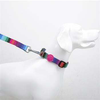 Tailpetz Köpek Boyun Tasmaları