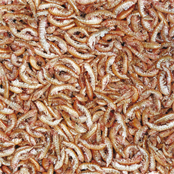 Tropical Gammarus 250ml/30Gr Kaplumbağa Yemi