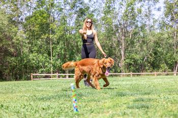Chuckit! Eco Fetch Stick Doğa Dostu Köpek Oyuncağı
