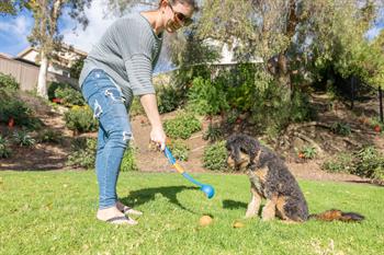 Chuckit! Fetch & Fold Mini Katlanabilir Top Fırlatıcı (Küçük Boy Fetch Ball Hediyeli)