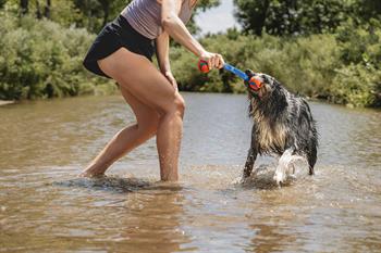 Chuckit! Ultra Duo Tug 2li Köpek Çekiştirme Topu (Orta Boy)