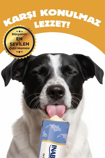 Churu Rolls Sticks Tavuk Sargılı ve Peynirli Köpek Ödül Maması