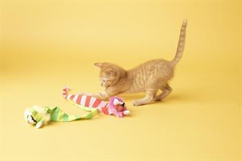Fat Cat Tailchaser Kedi Otlu Kuyruklu Peluş Kedi Oyuncağı