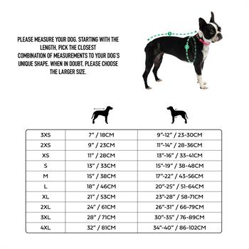GF PET Alpine Köpek Süveteri - Sarı