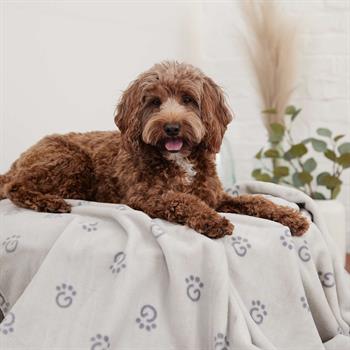 GF Pet Ekstra Yumuşak Köpek ve Kedi Battaniyesi (120x147cm) - Gri
