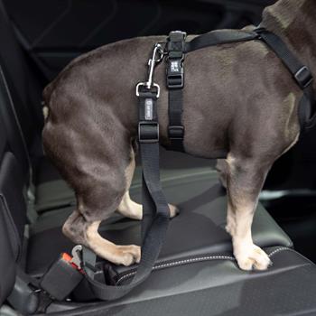 GF Pet Köpek Emniyet Kemeri