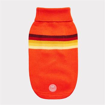 GF PET Retro Köpek Süveteri - Turuncu
