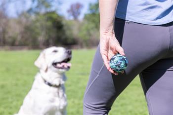Hyper Pet Tenis Köpek Oyun Topu Blue Camo 4lü Paket (Orta Boy)