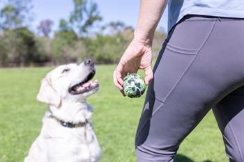 Hyper Pet Tenis Köpek Oyun Topu Green Camo 4lü Paket (Orta Boy)