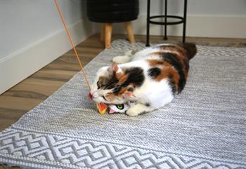 Mad Cat Hiss and Haunt Kedi Otlu ve Matatabili Oyuncaklı Kedi Oltası 