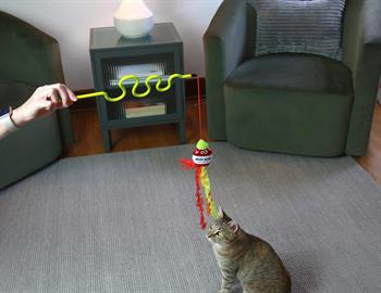 Mad Cat Nom Nom Kedi Otlu ve Matatabili Oyuncaklı Kedi Oltası 