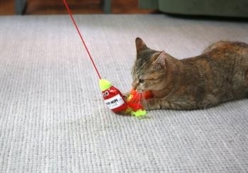 Mad Cat Nom Nom Kedi Otlu ve Matatabili Oyuncaklı Kedi Oltası 