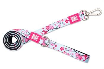Max & Molly Cherry Bloom Köpek Gezdirme Kayışı